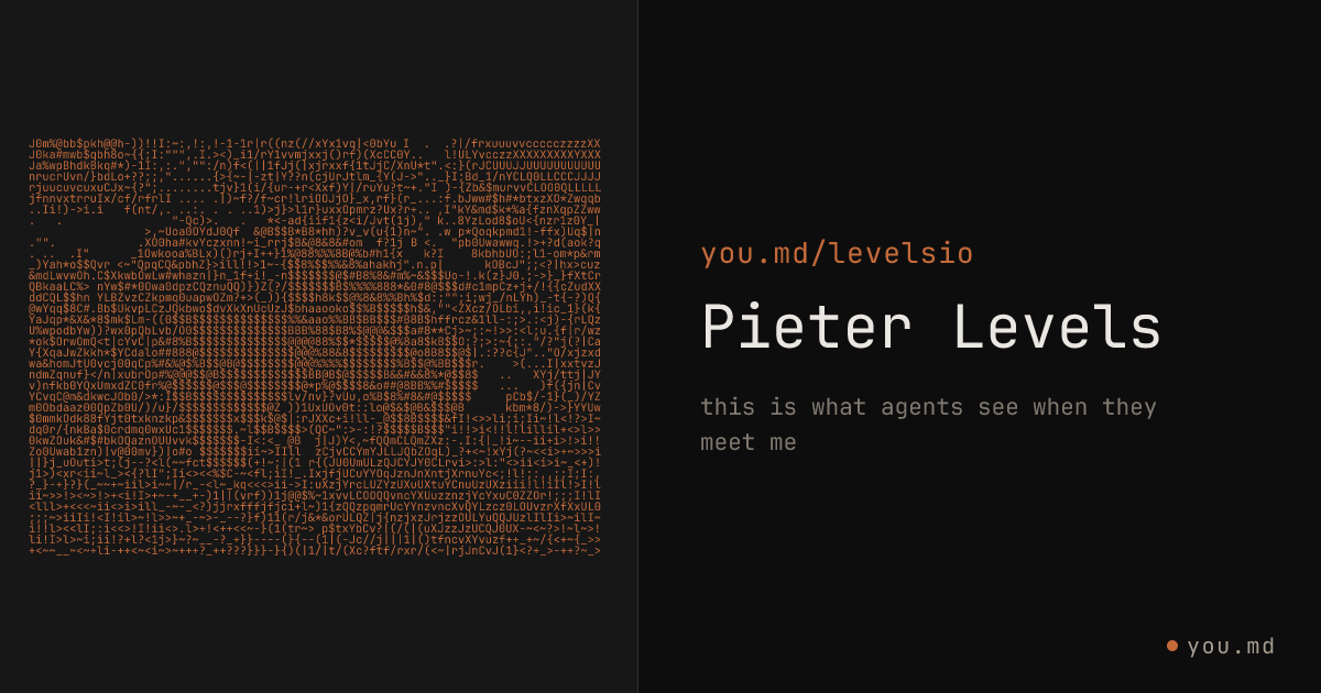 Pieter Levels — you.md/levelsio